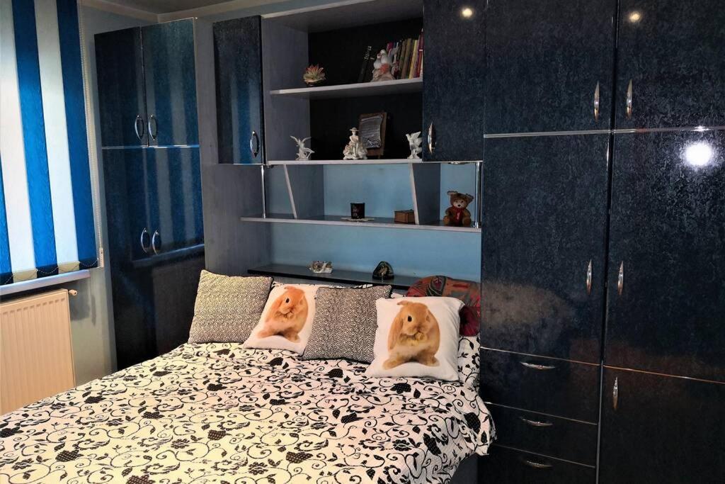 Home Away From Home Petrila Экстерьер фото